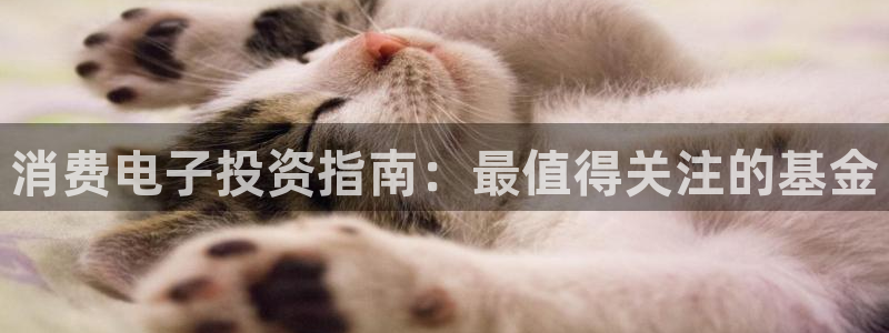 凯发k8国际官网可靠吗|消费电子投资指南：最值得关注的基金