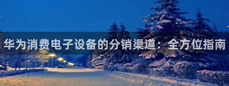 凯发ag旗舰厅网站下载|华为消费电子设备的分销渠道:全方位指南
