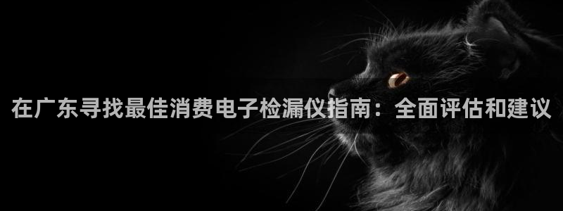 凯发k8登录首页|在广东寻找最佳消费电子检漏仪指南：全面评估和建议