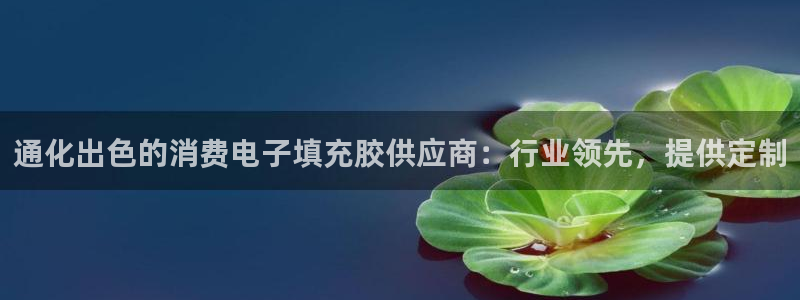 k8凯发|通化出色的消费电子填充胶供应商：行业领先，提供定制