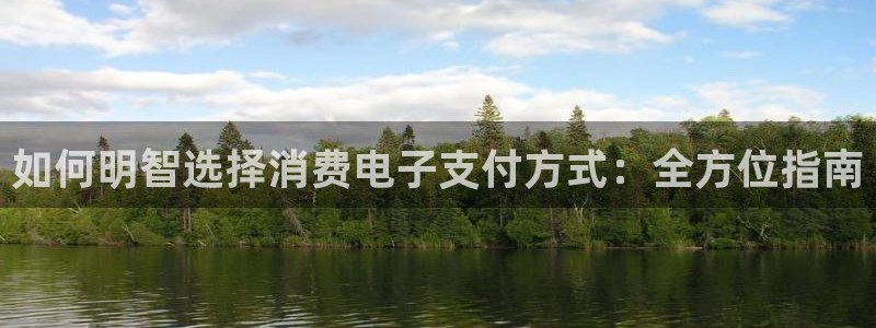 凯发k8官网登录vip|如何明智选择消费电子支付方式：全方位指南