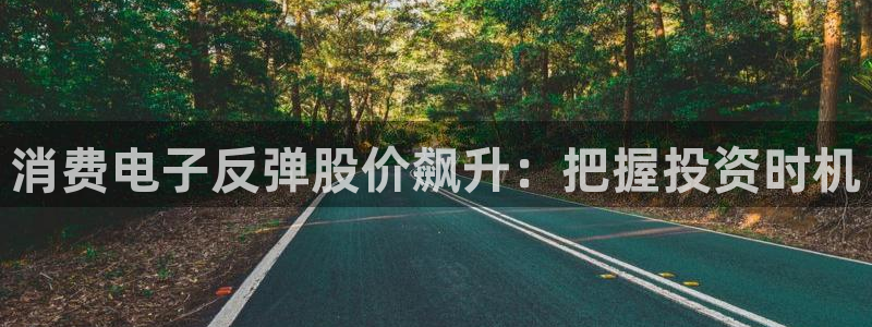 K8凯发·国际官方网站|消费电子反弹股价飙升:把握投资时机