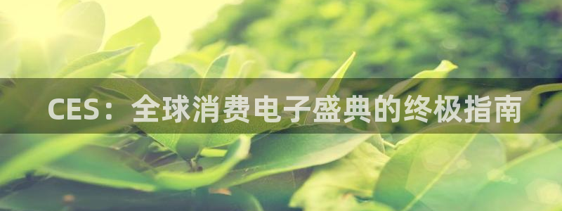 凯发k8全球公开| CES:全球消费电子盛典的终极指南