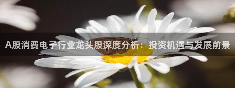 凯发国际官网首页|A股消费电子行业龙头股深度分析:投资机遇与发展前景