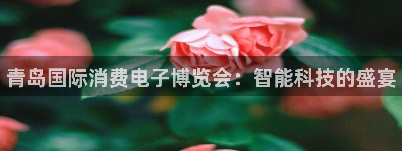 凯发k8是正规平台吗|青岛国际消费电子博览会：智能科技的盛宴