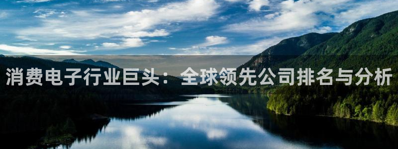 k8凯发是做什么的|消费电子行业巨头:全球领先公司排名与分析