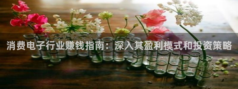 AG凯发|消费电子行业赚钱指南：深入其盈利模式和投资策略