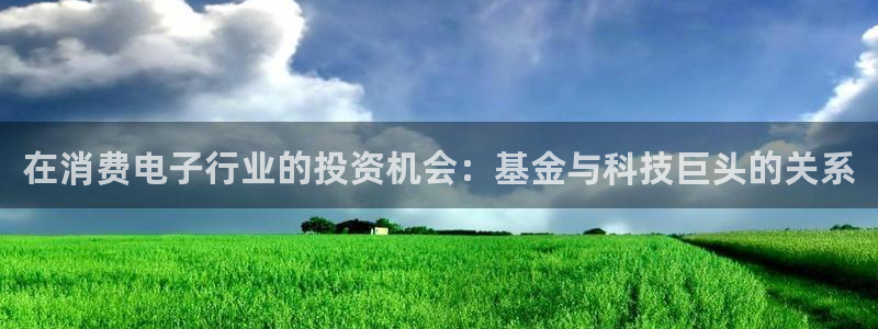凯发天生赢家一触即发官网|在消费电子行业的投资机会:基金与科技巨头的关系
