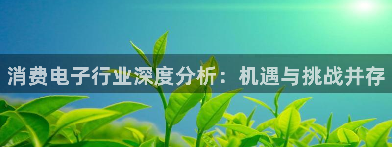 凯发k8国际首页登录|消费电子行业深度分析：机遇与挑战并存