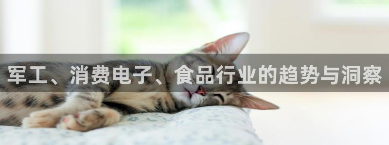 凯发k8国际(中国)官方网站·一触即发|军工、消费电子、食品行业的趋势与洞察