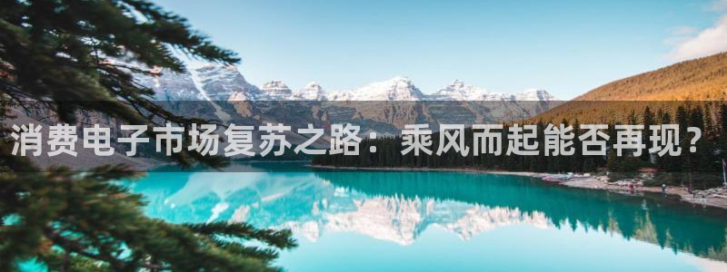 凯发官网首页|消费电子市场复苏之路：乘风而起能否再现？