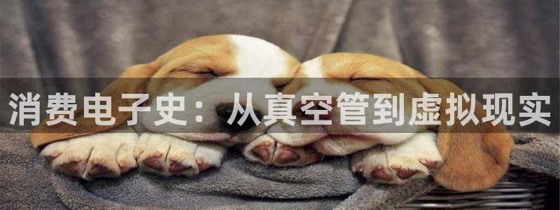 凯发k8全球公开|消费电子史:从真空管到虚拟现实
