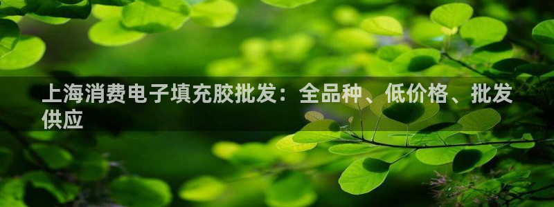 凯发k8手机客户端|上海消费电子填充胶批发：全品种、低价格、批发
供应