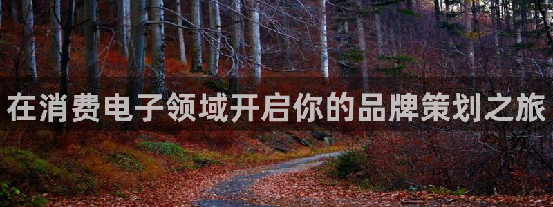 凯发k8是正规平台吗|在消费电子领域开启你的品牌策划之旅