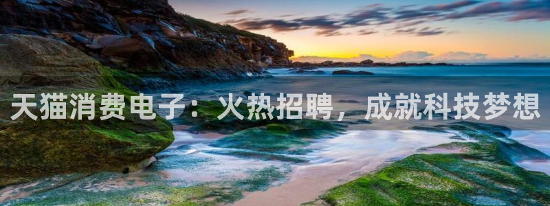 AG凯发|天猫消费电子：火热招聘，成就科技梦想