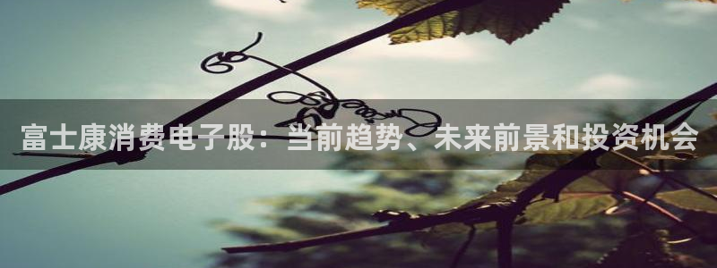 凯发·k8国际|富士康消费电子股：当前趋