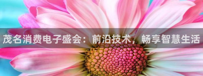 凯发国际平台官网|茂名消费电子盛会：前沿