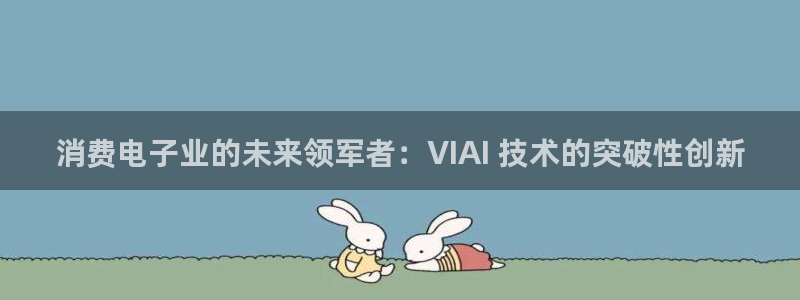 凯发ag旗舰厅网站下载|消费电子业的未来